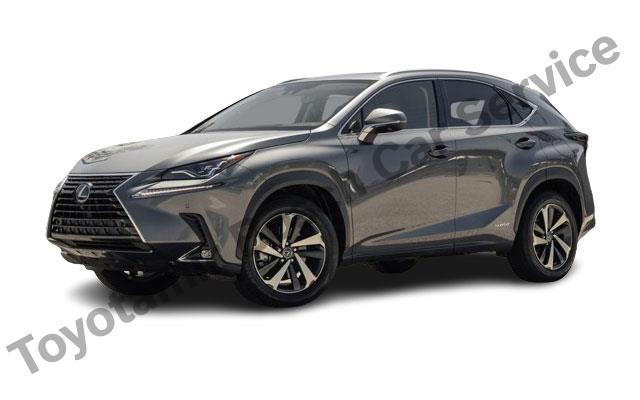 Lexus Servisi