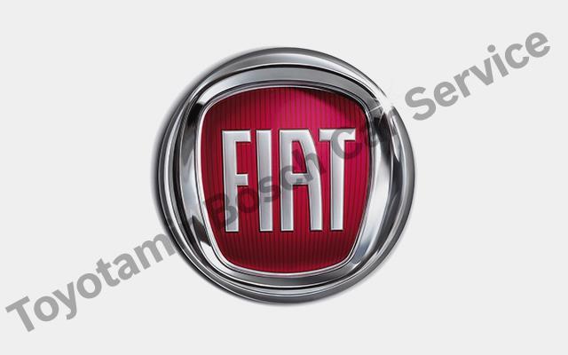 Sakarya Fiat Servisi