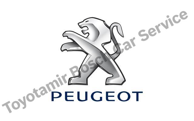 Sakarya Peugeot Servisi