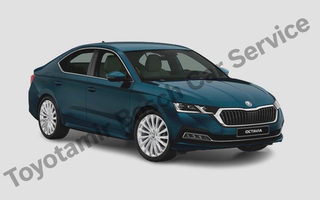 Sakarya Skoda Özel Servis Hizmetleri
