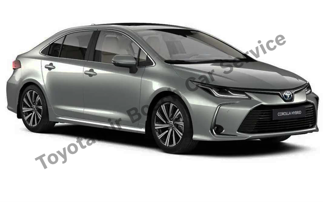 Sakarya Toyota Servisi